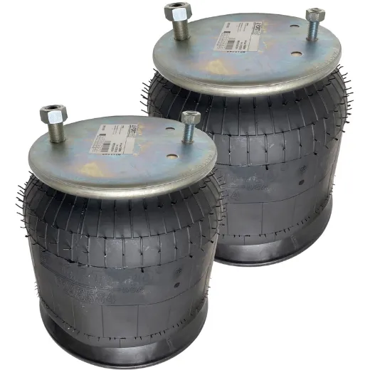 Picture for category Air Springs and Bags