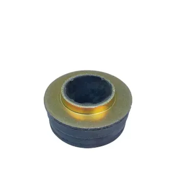 CABIN MOUNT BUSH 2008257