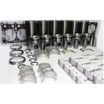 Overhaul Kit (4 VH) E6 Long Life(SSS) FORTPRO 215SB197B