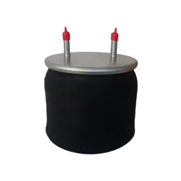 F8713 AIR SPRING