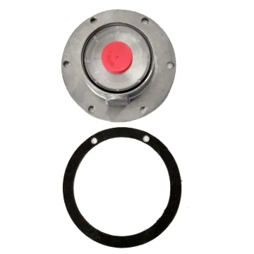 HUB CAP 19QJ323, 343-4025