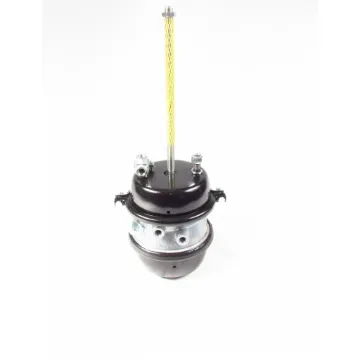 SPRING BRAKE CHAMBER TYPE 30/30 FT3030S NT3030STD-120TC