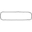 F012099 v1.webp