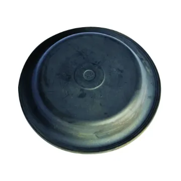 DIAPHRAGM TYPE 36 F236669