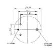 F245584-v7-square.jpg