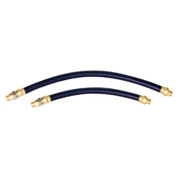 21065 Air Brake Hose Assembly